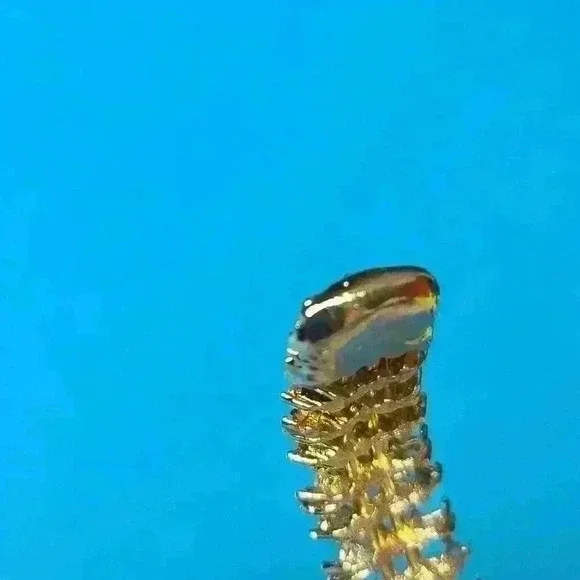 Gold-toned rhinestones cuff bracelet in like new condition - Picture 7 of 12